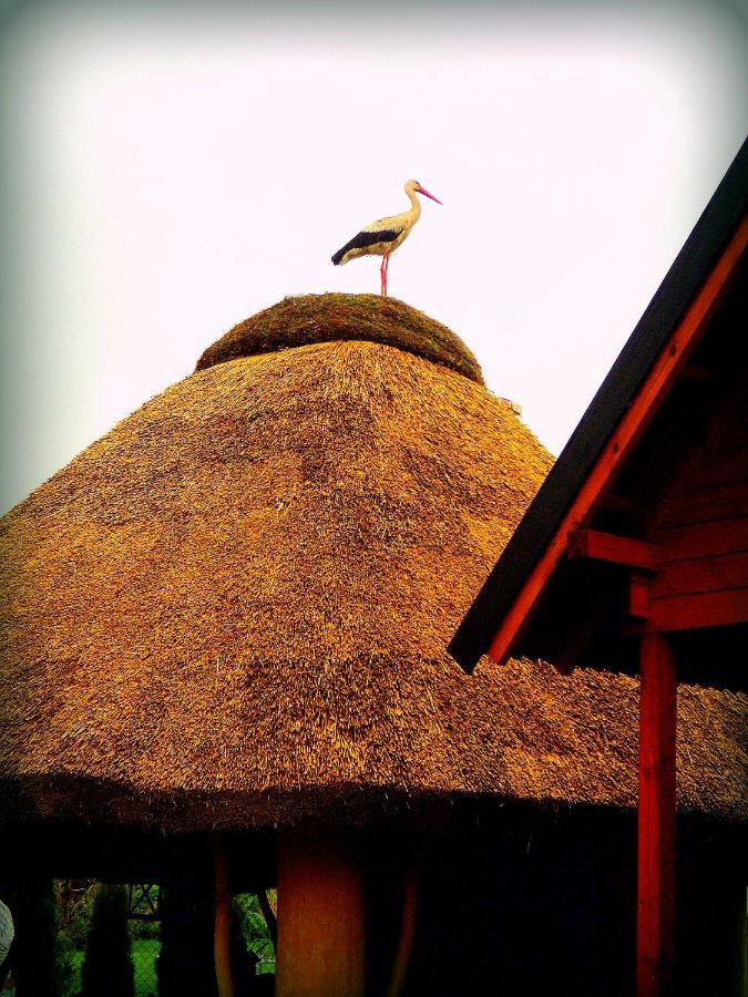 Zagroda Sarbinowo Luaran gambar